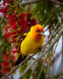 20250503-ImagesOfPMD-004