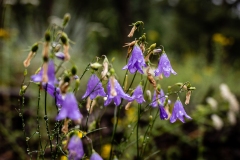 20210801_CO_Fishing-2