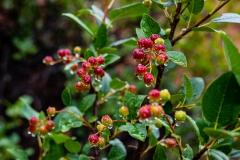 20210801_CO_Fishing-5