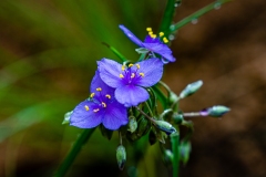 20210801_CO_Fishing-6