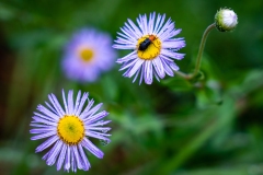 20210801_CO_Fishing-8