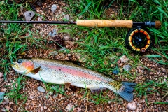 20210801_CO_Fishing-9