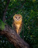 20240627-ImagesOfPMD-005