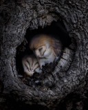 20250723-ImagesOfPMD-010