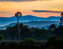 20211107-ImagesOfPMD-005