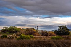 20220117-ImagesOfPMD-008