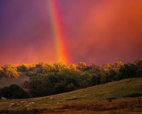 20220224-ImagesOfPMD-010