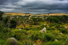 20230528-ImagesOfPMD-019