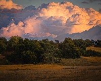 20231130-ImagesOfPMD-020