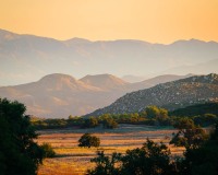 20231209-ImagesOfPMD-021