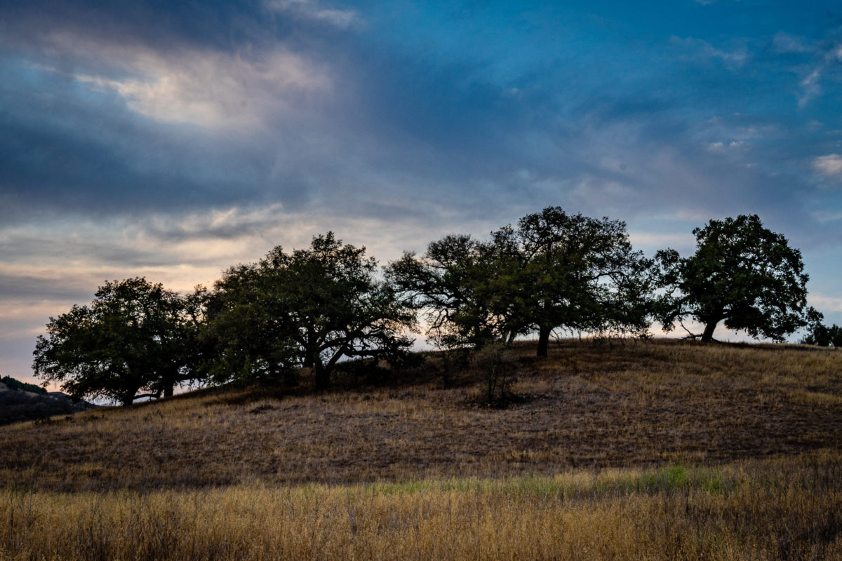 A Sunset at the Plateau