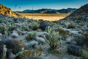 Anza Borrego Desert