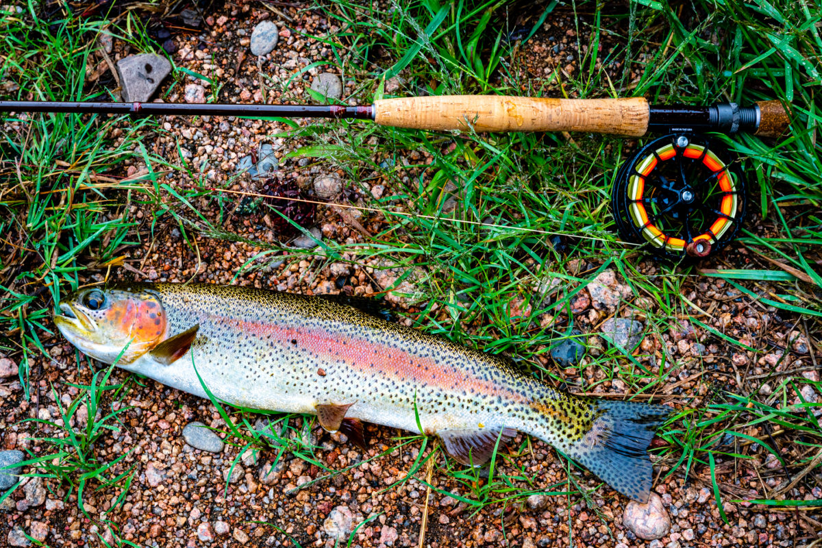 Fly Fishing in Colorado